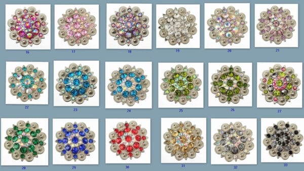 rhinestone berry concho